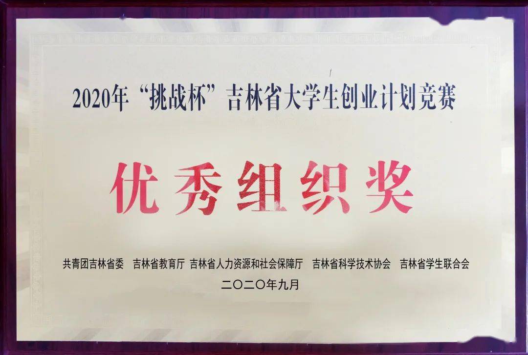沅陵红网科技潮流引领生活创新，最新消息首页精彩纷呈