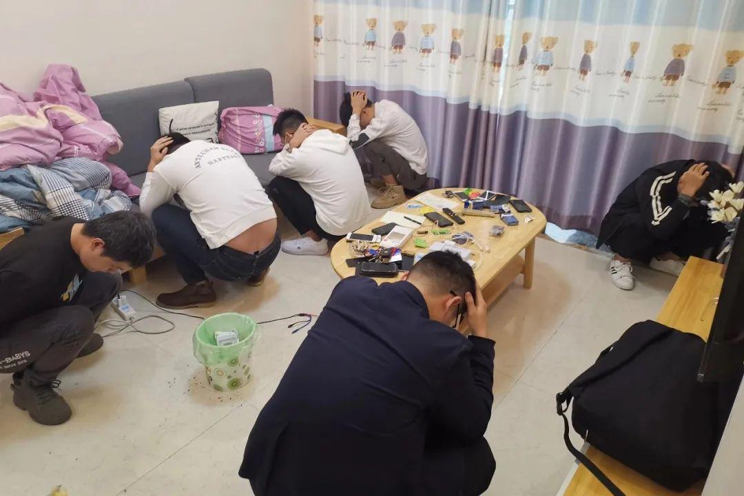 中国电信最新广告视频，科技与生活的无缝连接展现风采