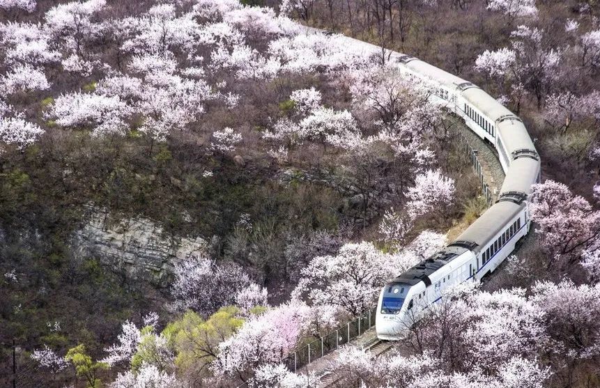 京秦铁路绿化科技助力绿色出行，美化生活新篇章