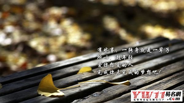 最新伤感网名，情感表达与个体心境的映射之旅