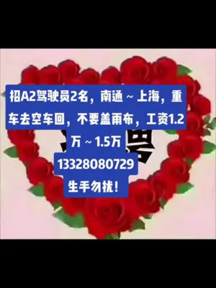 上海最新司机招聘