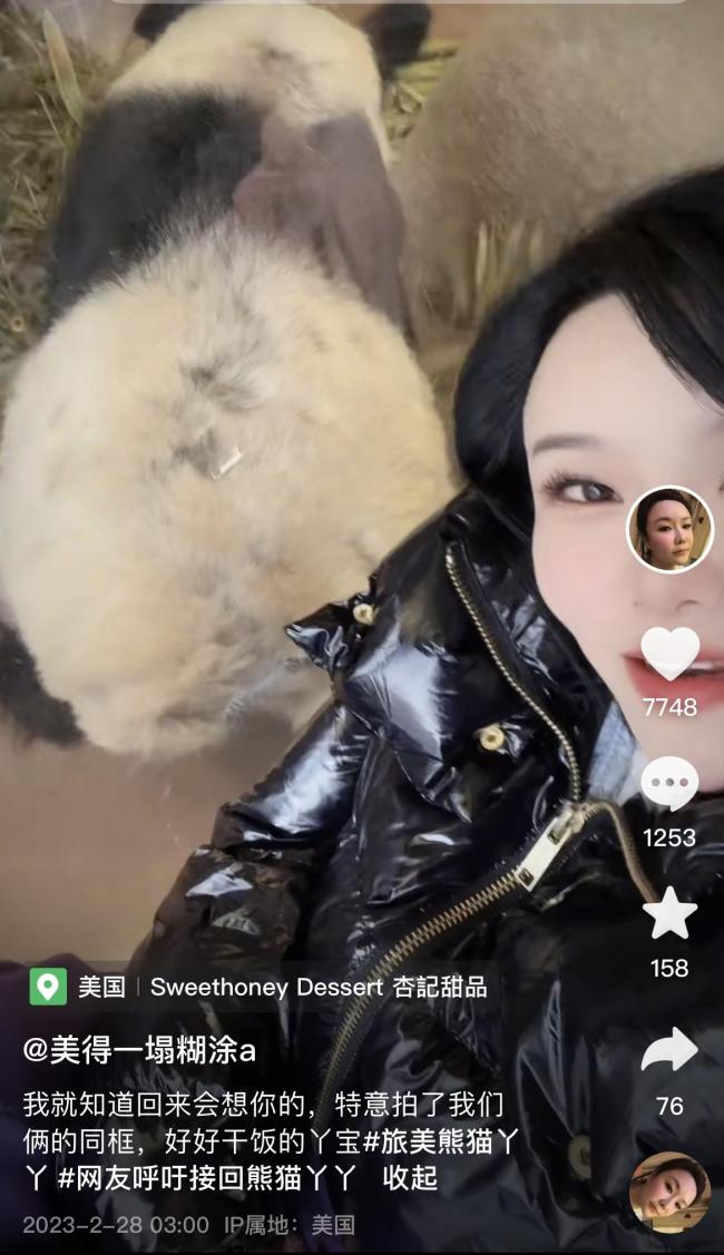 丫丫回国最新动态，深度分析与观点阐述