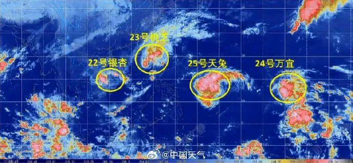 福州台风最新消息，台风下的温馨日常