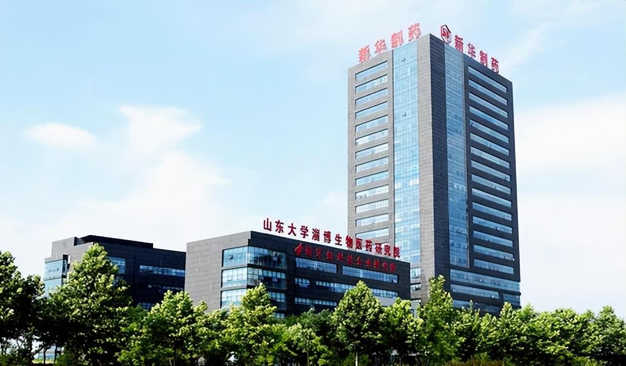 新华制药最新公告，变化催化成长，学习铸就自信