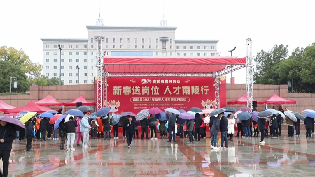 南陵最新招聘观点论述解析