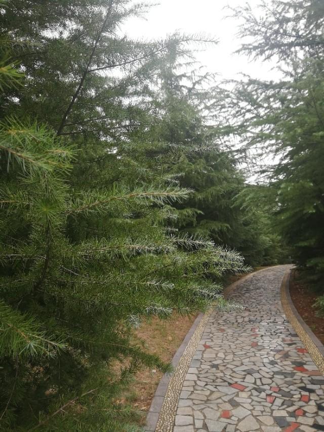 平顶山新城区的蜕变之路，最新规划与自信之路的启程