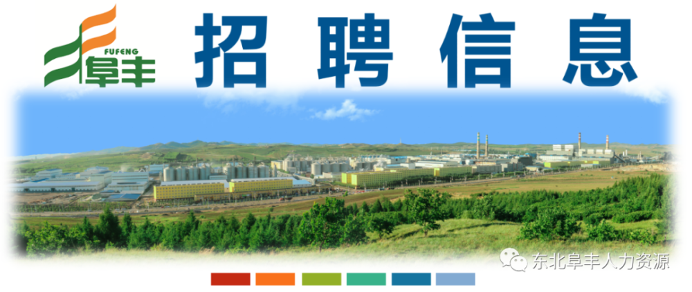 扎兰屯招聘网最新招聘，求职路上的故事与友情之花盛开