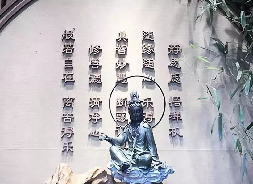 一日禅最新，小巷深处的禅意饗宴探索
