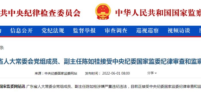 中纪委反腐最新消息,中纪委反腐最新消息，深入了解反腐动态与行动指南