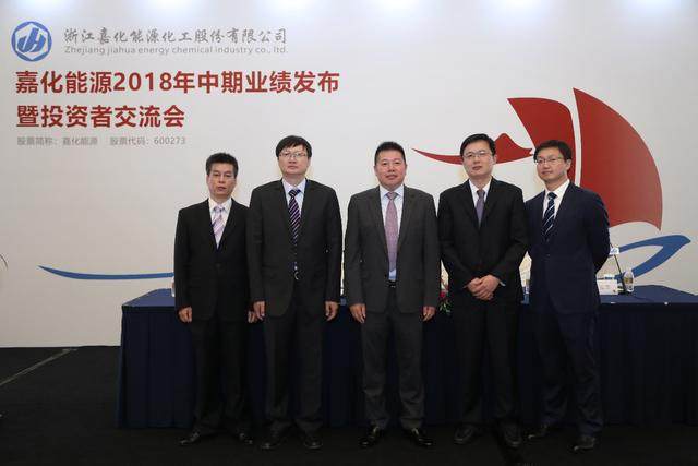 嘉化能源，燃烧希望，成就未来的励志篇章（最新消息）