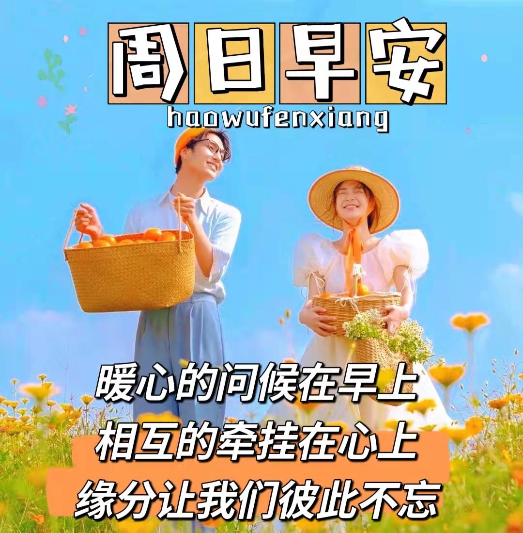 第1494页