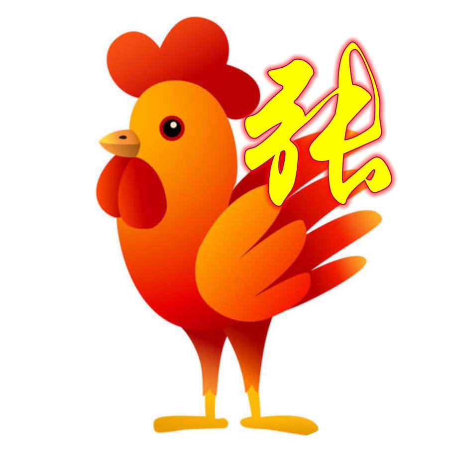 全国百家姓最新排名与温馨日常故事