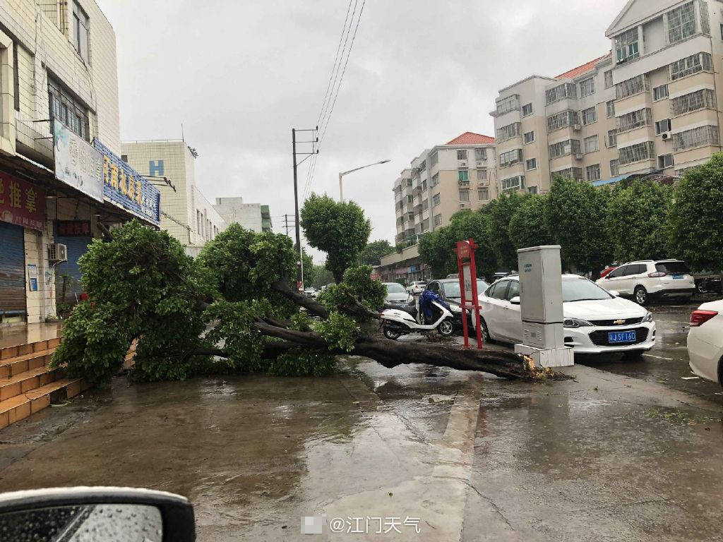 江门台风实时更新，最新动态与预警通知
