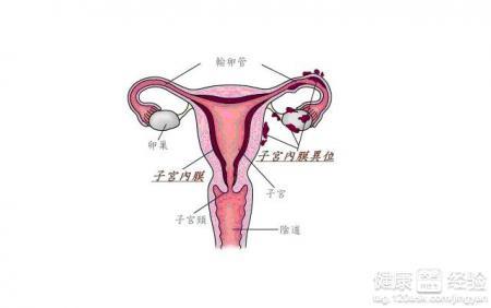 第1471页