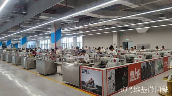 广州鞋厂最新招聘信息