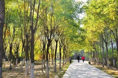 天津取消住房限购限售，开启自然美景探索之旅