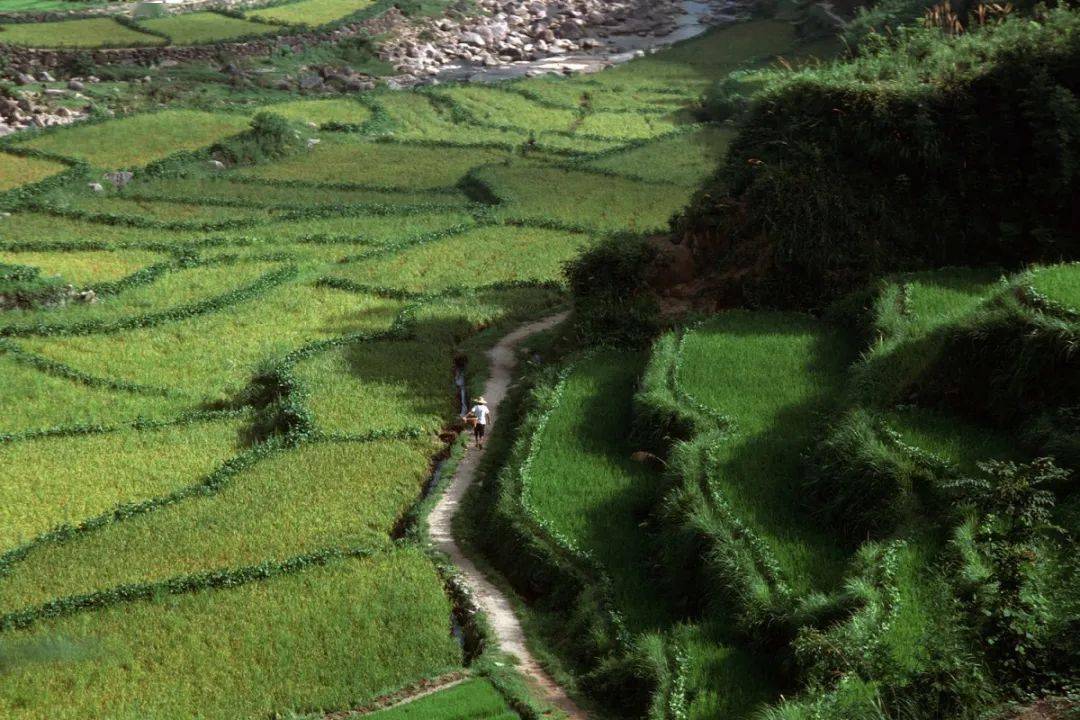 四川本地股盘初分化，自然美景探索之旅开启