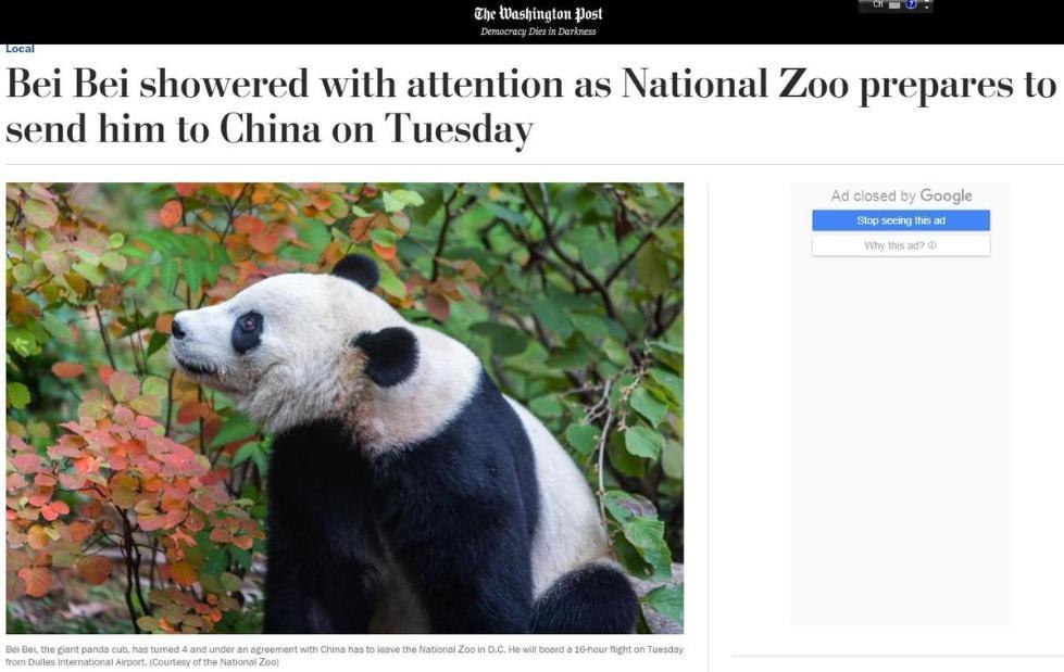 美国首都华盛顿隆重迎接熊猫，变化、自信与成就感的鼓舞之旅