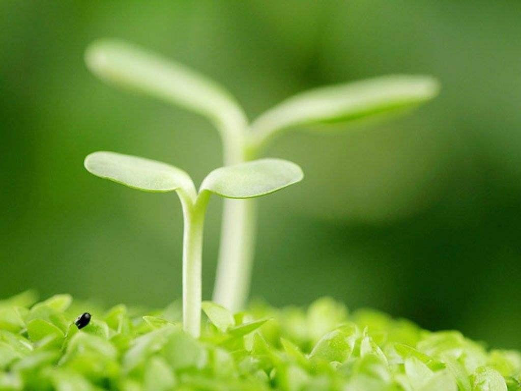 一线城市楼市全线回温，繁荣复苏与时代印记的交织