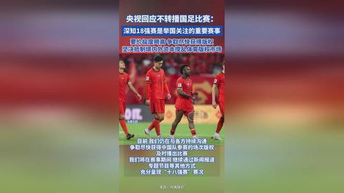 央视不转播国足对阵印尼比赛，原因与深度解析
