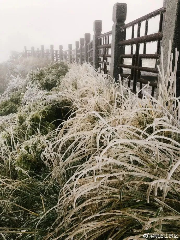 成都今年首场秋雪纷飞，银装素裹迎初雪季