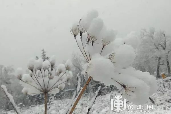 成都首场秋雪，气候变迁下的新现象与传统观点的碰撞