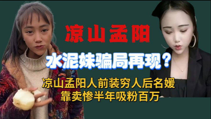 扮穷卖惨吸粉？罚！——公安网安揭示虚假行为，倡导绿色心灵之旅
