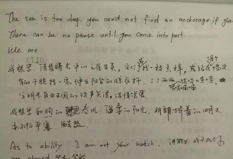 微信小程序新增翻译按钮，科技与生活无缝融合的新体验探索