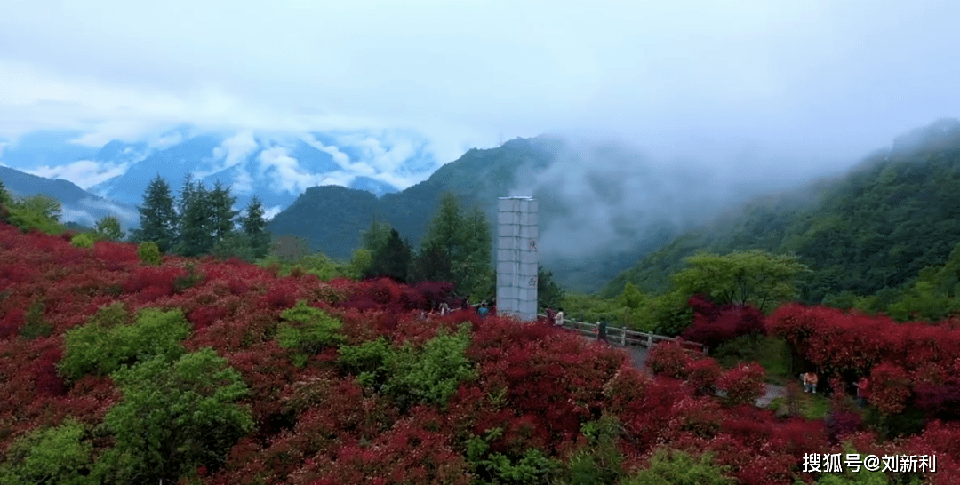 徕木股份，自然美景探索之旅，心灵宁静的启示