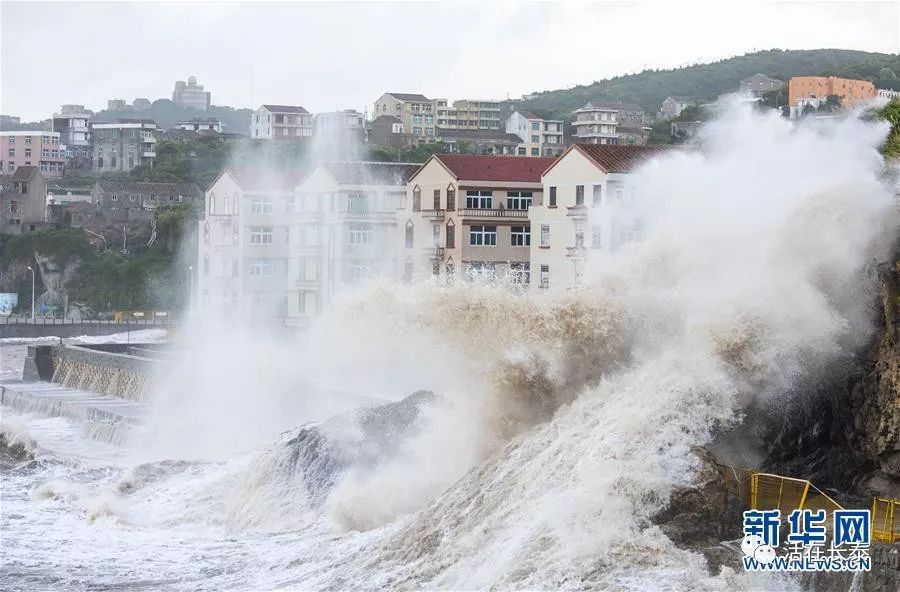 福建密切关注台风最新动态，全力应对台风挑战