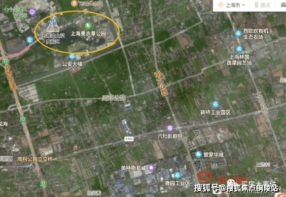 林园最新视频聚焦要点深度解析