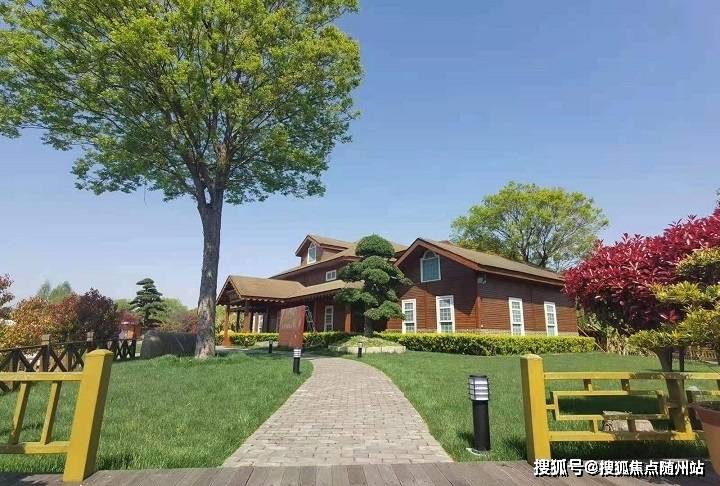 中炬高新最新动态，消息更新与奇妙日常探索