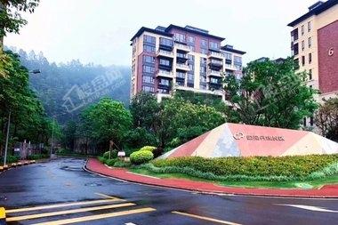 惠州星河丹堤最新房价探索，自然美景之旅邀请函