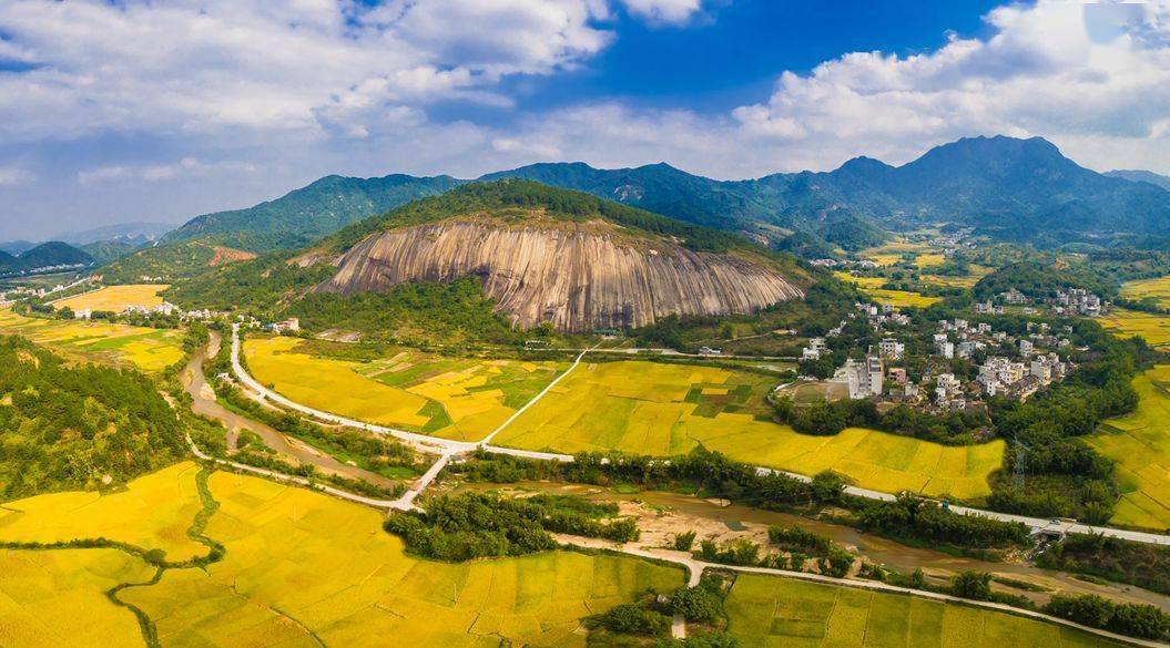 广东病毒最新消息与今日自然美景探索之旅更新
