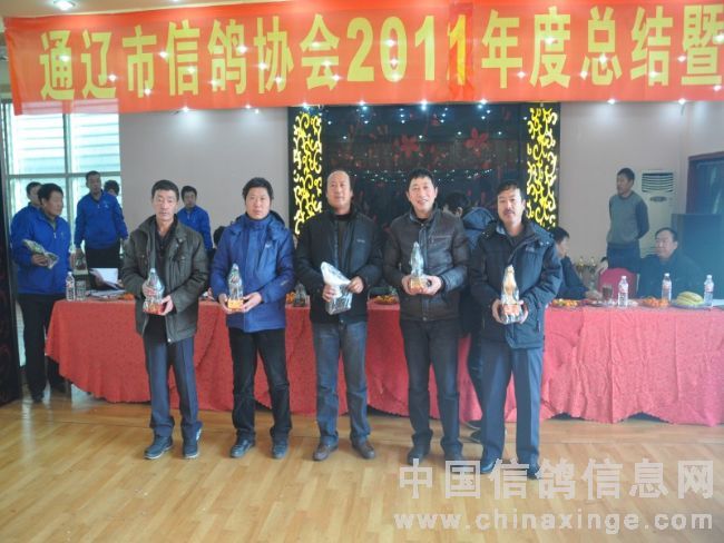 通辽信鸽协会最新公告，鸽缘情深，共筑美好家园