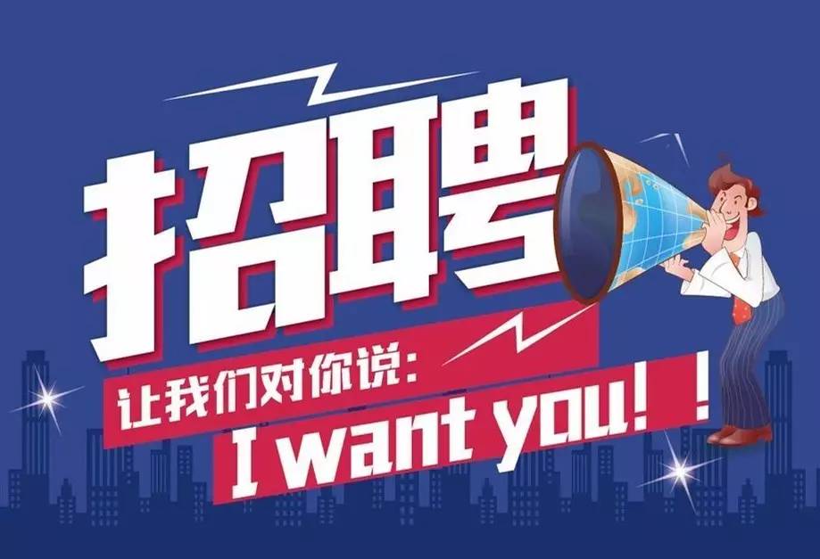 石家庄最新招聘信息，时代脉搏与人才交响的交汇点