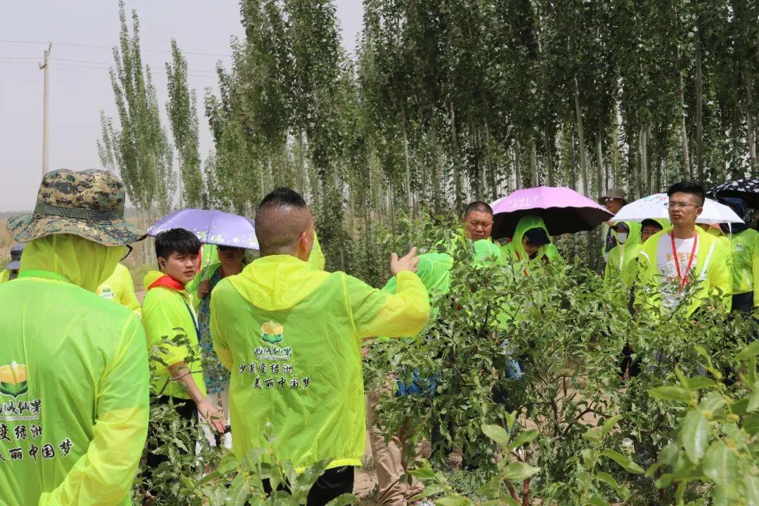 最新动态揭秘 第4页