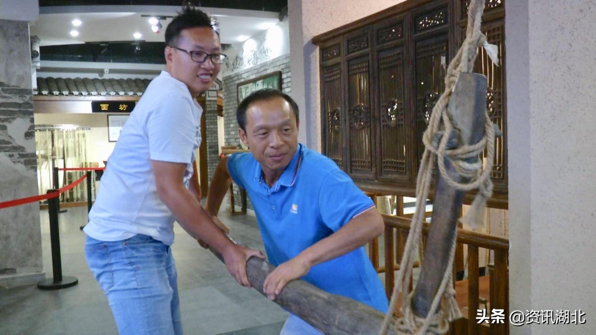 最新油菜籽价格，时代变迁与市场的波动影响