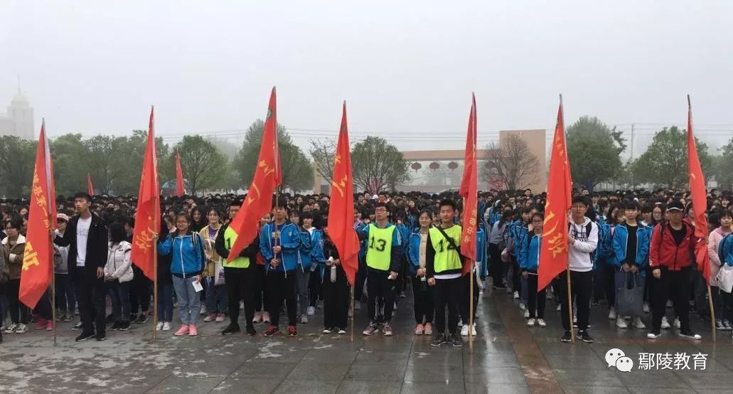 高考最新动态，心灵与自然的奇妙之旅