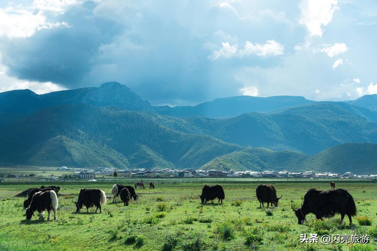 天府新区最新规划，自然美景的探索之旅启动