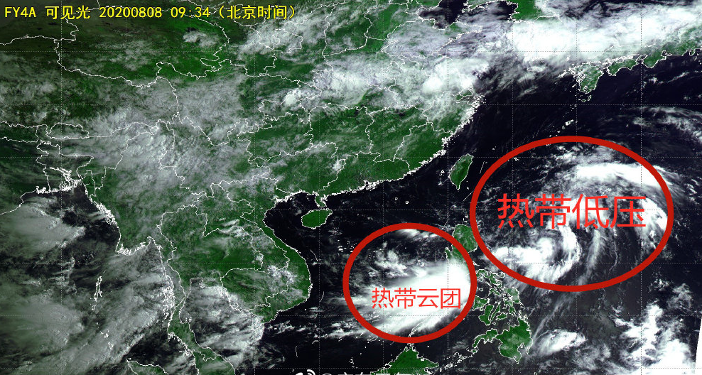 东莞台风最新消息更新