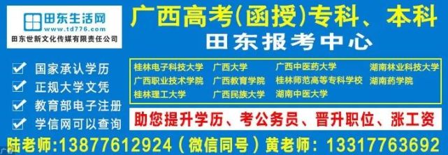 田东最新招聘，求职全步骤指南