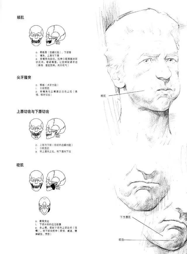 QQ最新男头像潮流魅力大放送！