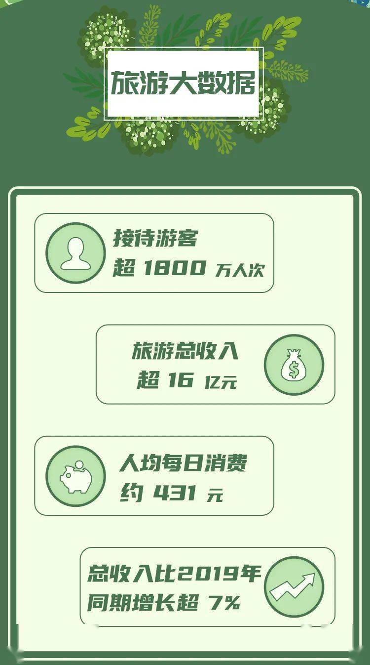 肥城最新招聘信息深度探讨与分析