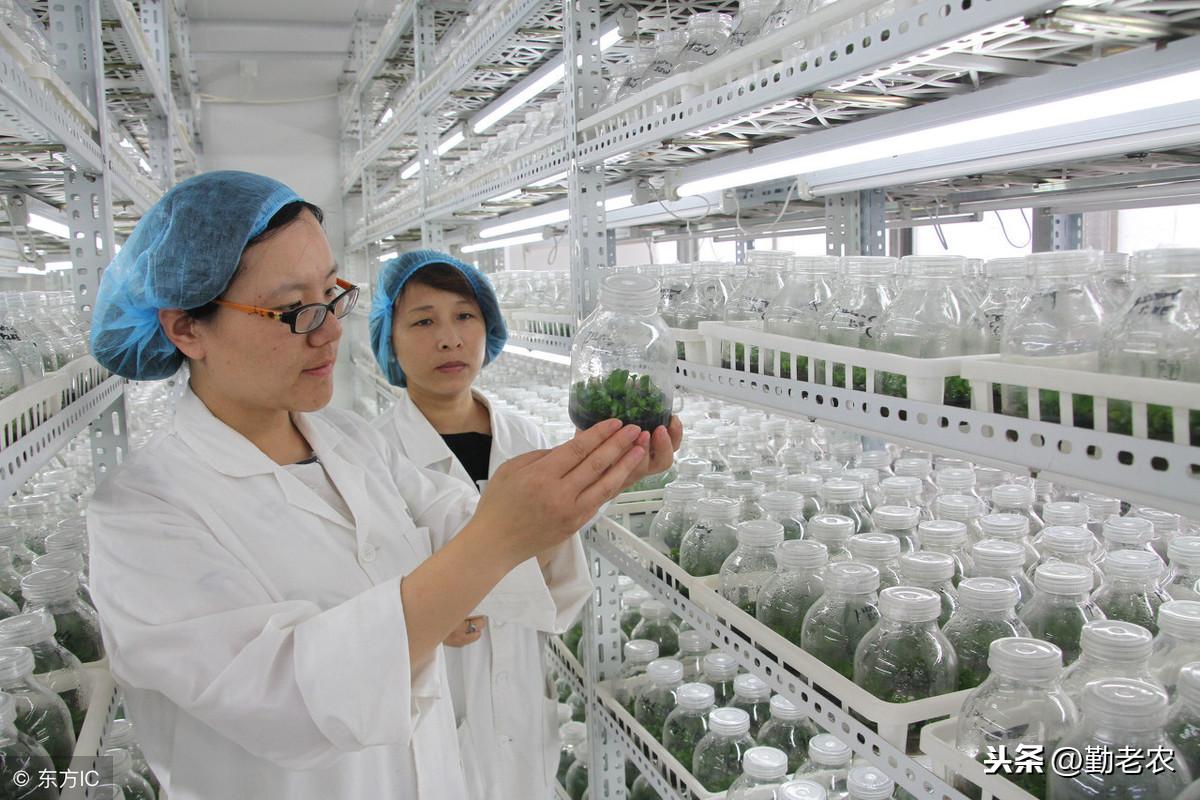 最新土地法下的高科技产品介绍