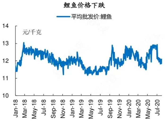 最新鲤鱼价格行情及市场走势分析与预测