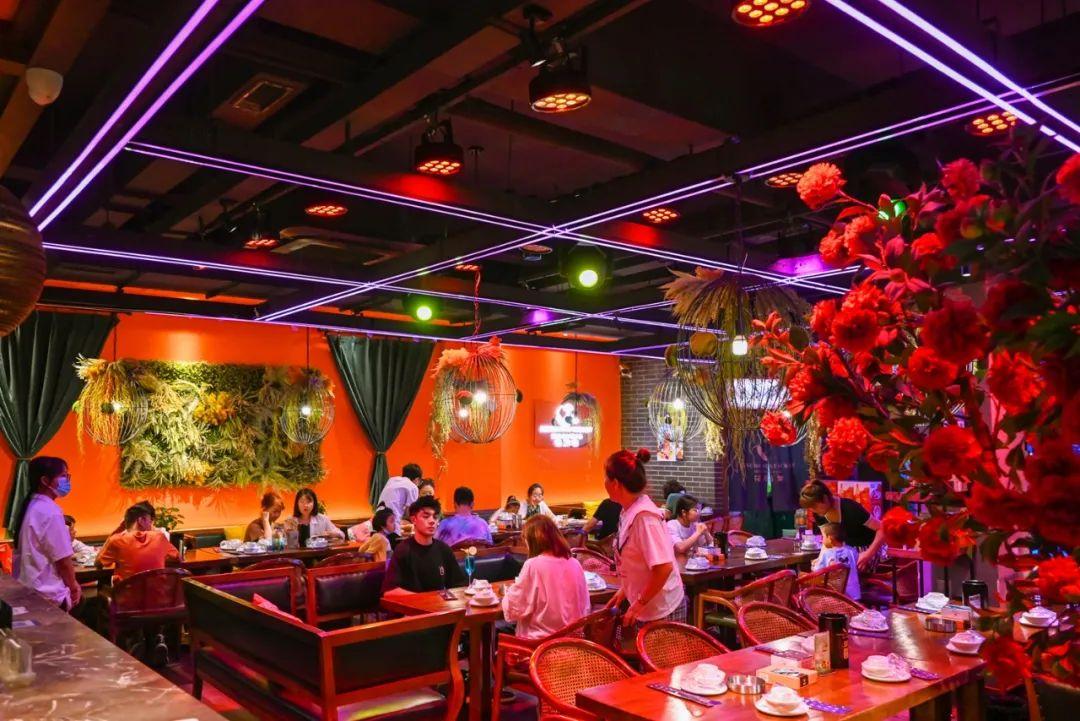 银川最新新闻，拥抱自然，心灵宁静之旅启程