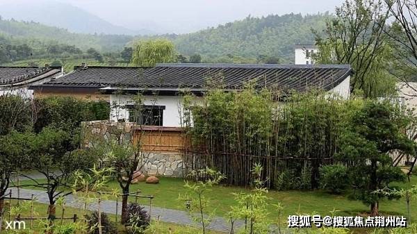 阴阳师最新式神深度解析与观点阐述，全新式神登场，特性技能大揭秘