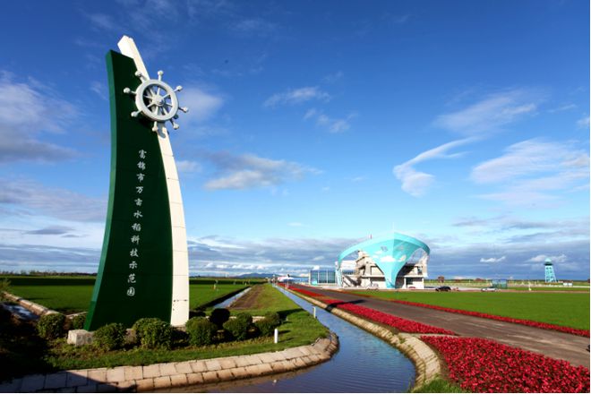 临汾最新新闻，拥抱自然，心灵宁静之旅探寻记