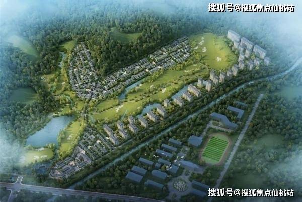 乐福最新动态揭秘，个人视角下的深度分析与观点分享